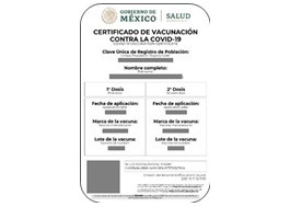  Certificados de vacunación Covid-19 para Empresas, clubes, sindicatos, Congregaciones 